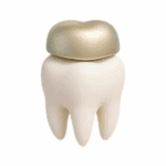 Prosthodontists